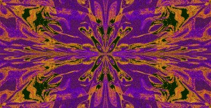 Abstract Butterfly 15